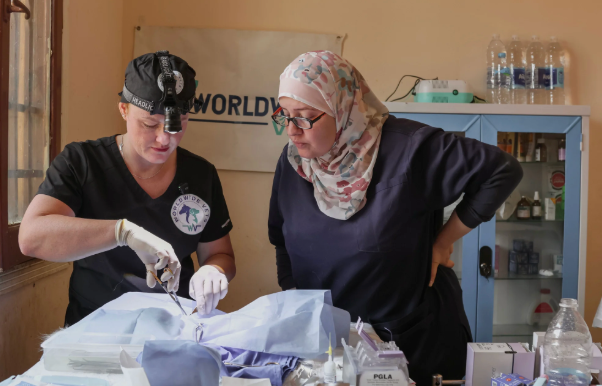 Worldwide Vets in Ägypten
